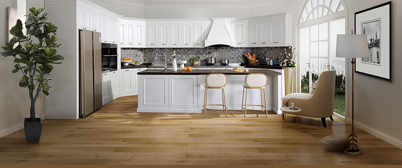 《長(zhǎng)江保護(hù)法》實(shí)施在即，世環(huán)會(huì)為保護(hù)長(zhǎng)江生態(tài)環(huán)境助力