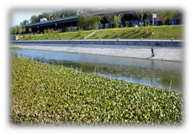 我國水生態環境修復現狀分析解讀（下）-