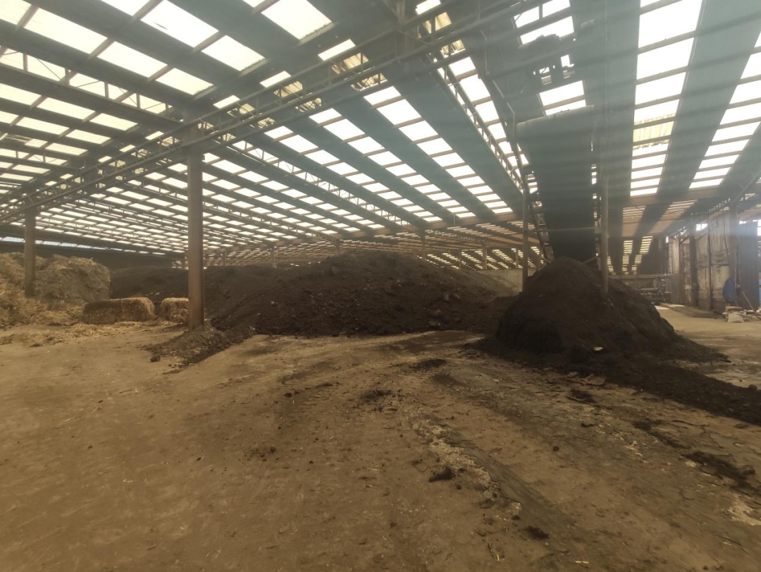 消失的污泥去哪兒了？-