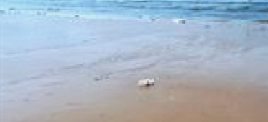 在年產量突破1億噸前，破解污泥“圍城之殤”！