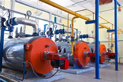 上海綠色制造展｜生物質天然氣制綠氨技術獲國際認證，實現全生命周期碳足跡追蹤-